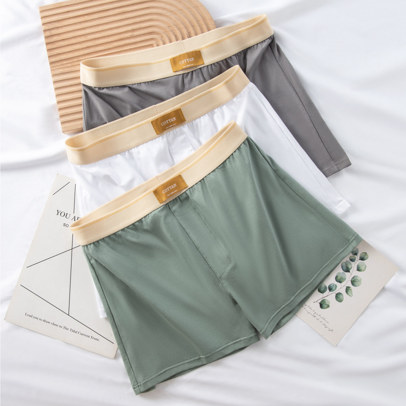 4 szt. Męskie spodnie ze strza – Boxer Brief Pack Cotton recenzja i cena