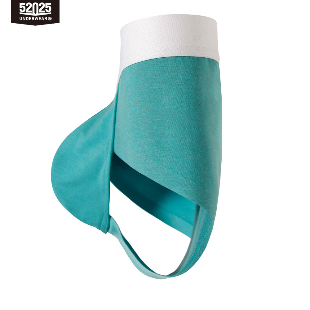 52025 Męskie slipy modalowe (3 – Multi Pack Underwear recenzja i cena